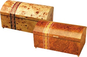 �������� ����������� ��� ��������� Giglio GIG 323-324